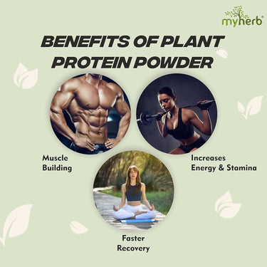 https://cdn.shopify.com/s/files/1/1857/6931/files/W6lPQ1VqX3.jpg?v=1726400657